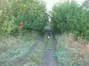 017-2008.jpg