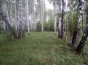 Slet2022-727.jpg