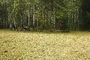 _MG_2453_thumb.jpg