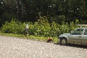 _MG_2455_thumb.jpg